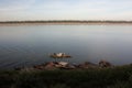 Dawn at the Mekong riverside in Kratie, Cambodia