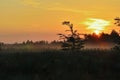 Dawn in the middle of the steppe, red sky Royalty Free Stock Photo