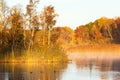 Dawn mist in the autumn with Great crested grebes in the lake Royalty Free Stock Photo