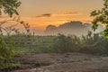 A glorious morning with golden Dawn Mist over the Surrey farm gate