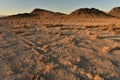 Dirt road in Mojave desert dawn landscape Royalty Free Stock Photo