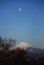 Dawn moon and Mt. Fuji Royalty Free Stock Photo