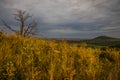 Dawn in the mountains. The sun rises from behind the mountains. Beautiful green hills and green valley. Little sleeping town. A Royalty Free Stock Photo