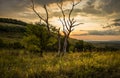 Dawn in the mountains. The sun rises from behind the mountains. Beautiful green hills and green valley. Little sleeping town. A Royalty Free Stock Photo