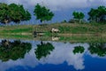 reflection of the landscape in the lagoon in the northeastern sertÃÂ£o Royalty Free Stock Photo