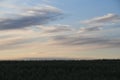 Dawn over the field predawn hour wheat nature Royalty Free Stock Photo