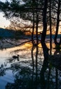 Dawn over lake with silhouette reflection tree Royalty Free Stock Photo