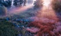 Dawn over the meadow. A wonderful summer landscape. Drone view. Morning fog. Royalty Free Stock Photo