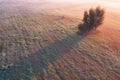 Dawn over the meadow. A wonderful summer landscape. Drone view. Morning fog. Royalty Free Stock Photo