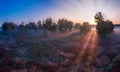 Dawn over the meadow. A wonderful summer landscape. Drone view. Morning fog. Royalty Free Stock Photo