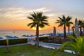 Dawn over the sea. Silhouette of palm trees Royalty Free Stock Photo