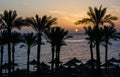 dawn over a tropical beach, silhouettes of palms and wicker canopies, vacation wallpaper Royalty Free Stock Photo