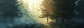 Dawn in a peaceful forest, sunlight filtering through the trees and mist, ideal for eco-friendly and conservation Royalty Free Stock Photo