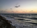 Dawn with Pelicans and Seagulls in Spring at Miami Beach, Florida. Royalty Free Stock Photo