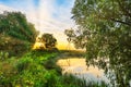 Dawn on the pond Royalty Free Stock Photo