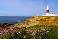 Dawn at Portland Bill