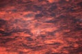 Dawn with red clouds as background texture Royalty Free Stock Photo