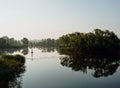 Vegetation is reflected in calm water