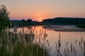 Dawn on the river. summer grass yellow, soft tones, fog Royalty Free Stock Photo