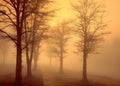 Dawn\'s Embrace: Foggy Forest at Sunrise, a Natural Tapestry Royalty Free Stock Photo