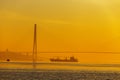 A large commercial cargo ship stands on a roadstead against a cable-stayed Russian bridge Royalty Free Stock Photo