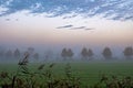 Dawn Serenity: Soft-Colored Sky Over Fall Farm Landscape