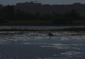 at dawn and the silhouette of a fisherman in a boat in the distance. The reflection of the sky in the water. Background, ple Royalty Free Stock Photo