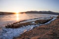 At dawn skeleton of a ship frozen in the ice on the shore