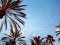 Dawn sky with Palms Lights Royalty Free Stock Photo