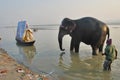 Dawn at sonpur animal fair bihar india