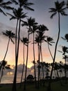 Dawn in Spring near Hikinaakala Heiau in Wailua on Kauai Island, Hawaii.