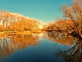 The dawn sun magically decorated the trees with golden color over the blue water of the pond.