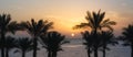 Dawn the sun over the Red Sea and the silhouette of palm trees Royalty Free Stock Photo