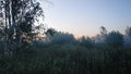 Dawn in the swamps. Fog in the early morning in nature. Ural Russian Federation 2021.