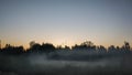 Dawn in the swamps. Fog in the early morning in nature. Ural Russian Federation 2021.