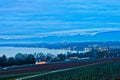 Dawn at a Swiss Vineyard Royalty Free Stock Photo