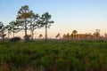 Dawn at Three Lakes Wildlife Management Area, Florida