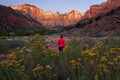 Dawn at Towers of the Virgin, Zion National Park, Utah Royalty Free Stock Photo