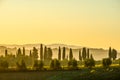 Dawn at Tuscany Vineyard