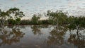 dawn view of a billabong near lyndon, wa