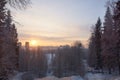 Dawn in the winter park, the sun rises far ahead, illuminating the city, the view from the mountain to snow-covered trees Royalty Free Stock Photo