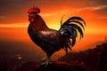 Dawns announcement, rooster shadow cast by the morning sunrise light