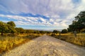 dawns in the countryside over Mediterranean forest and dirt road,