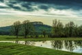 Dawns early light cast shadowy reflections in pond