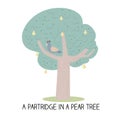 12 day of christmas - a partridge in a pear tree