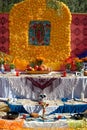 Day of the Dead Altar with Our Lady of Guadalupe and Marigolds Royalty Free Stock Photo