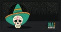 Day of the dead banner