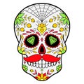 Day of The Dead colorful Skull