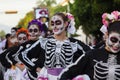 Day of the Dead Costume