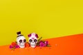 Day of the dead, Dia De Los Muertos Celebration Background Royalty Free Stock Photo